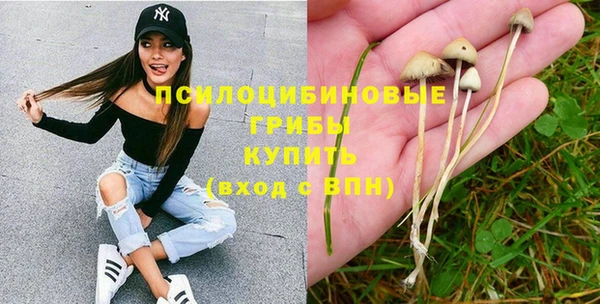 прущие крисы Абаза