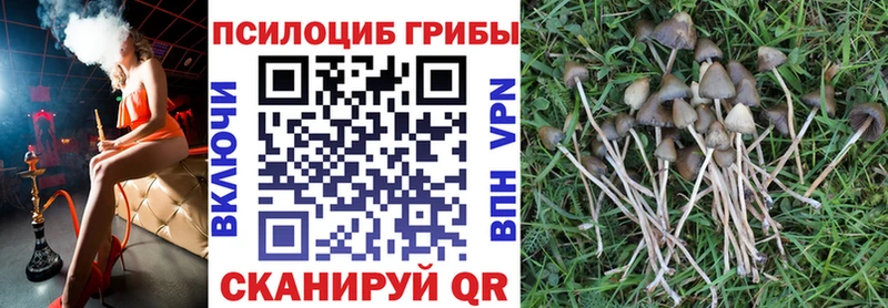 Галлюциногенные грибы GOLDEN TEACHER Снежногорск